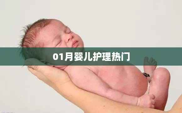 婴儿护理秘籍,一月新生儿的呵护之道