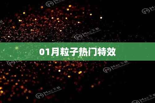 洁身自好 第2页