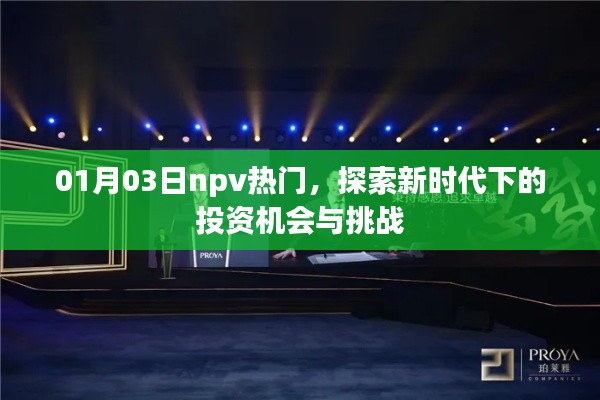 探索新时代投资机会与挑战,热门NPV投资趋势解析