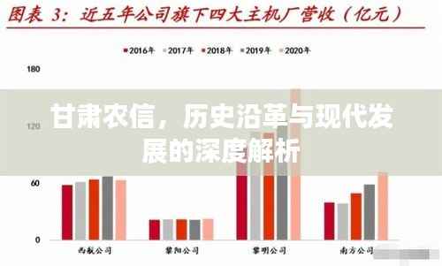 甘肃农信,历史沿革与现代发展的深度解析