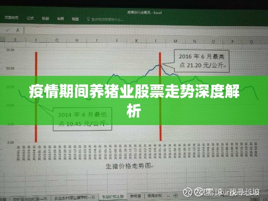 疫情期间养猪业股票走势深度解析