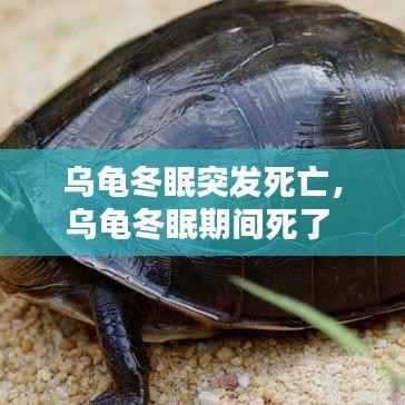 栖冲业简 第2页