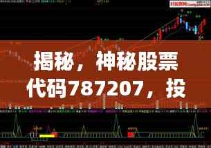 揭秘,神秘股票代码787207,投资机会还是风险警示?