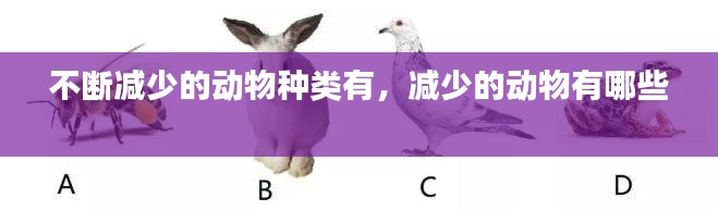不断减少的动物种类有,减少的动物有哪些