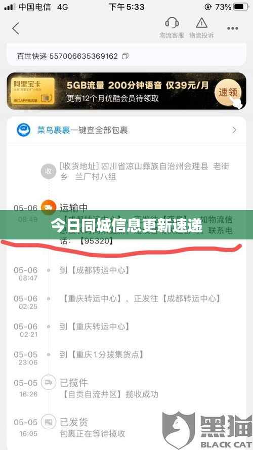 飞箭如蝗