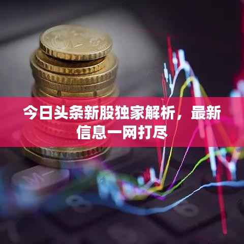 今日头条新股独家解析，最新信息一网打尽