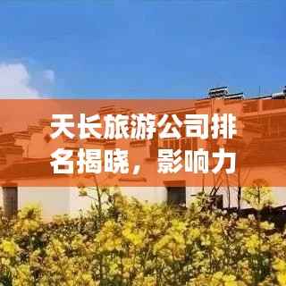 天长旅游公司排名揭晓,影响力深度解析