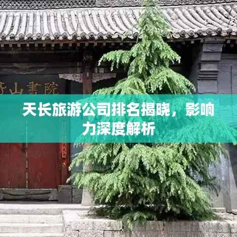 天长旅游公司排名揭晓,影响力深度解析