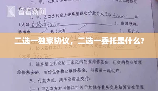 二选一独家协议,二选一委托是什么?