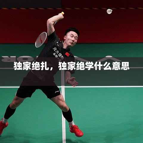 独家绝扎,独家绝学什么意思