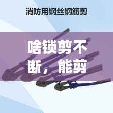 啥锁剪不断,能剪断锁的工具