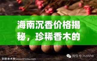 海南沉香价格揭秘,珍稀香木的价值探秘之旅
