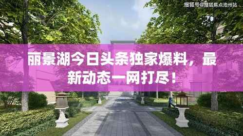 丽景湖今日头条独家爆料,最新动态一网打尽!
