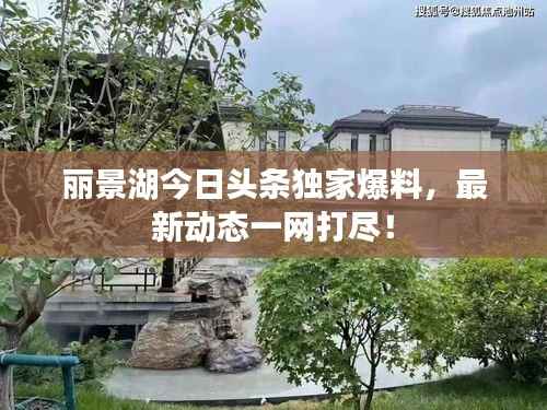 丽景湖今日头条独家爆料,最新动态一网打尽!