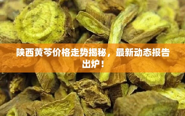 陕西黄芩价格走势揭秘,最新动态报告出炉!