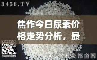 碧瓦飞甍 第2页