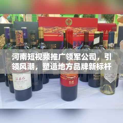 河南短视频推广领军公司,引领风潮,塑造地方品牌新标杆