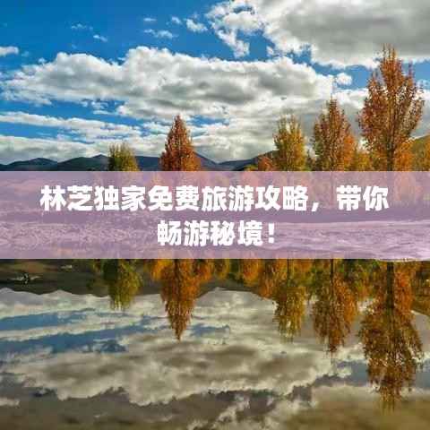 陈力就列 第2页