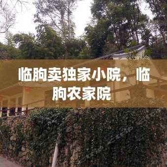 临朐卖独家小院，临朐农家院 