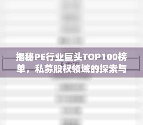 揭秘PE行业巨头TOP100榜单,私募股权领域的探索与洞察