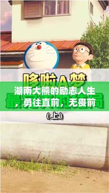 湖南大熊的励志人生,勇往直前,无畏前行,激发无限潜能!