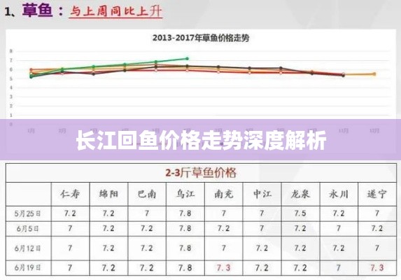 长江回鱼价格走势深度解析