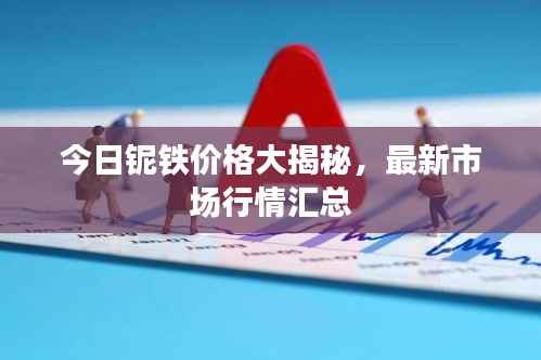 今日铌铁价格大揭秘,最新市场行情汇总