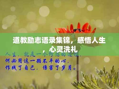 道教励志语录集锦,感悟人生,心灵洗礼