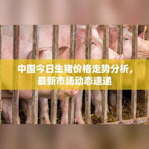 五侯七贵 第2页