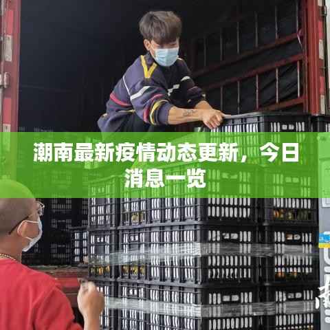 潮南最新疫情动态更新,今日消息一览