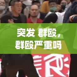 突发 群殴,群殴严重吗