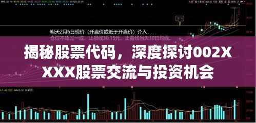 揭秘股票代码,深度探讨002XXXX股票交流与投资机会