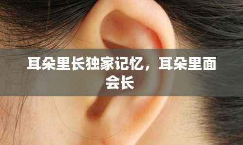 耳朵里长独家记忆,耳朵里面会长