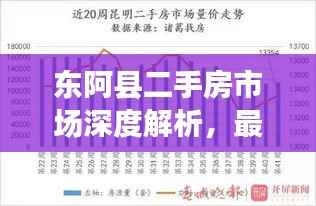 东阿县二手房市场深度解析,最新行情与房地产趋势一网打尽