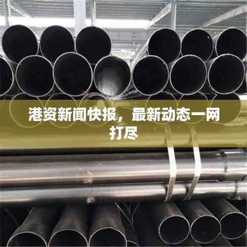 港资新闻快报，最新动态一网打尽