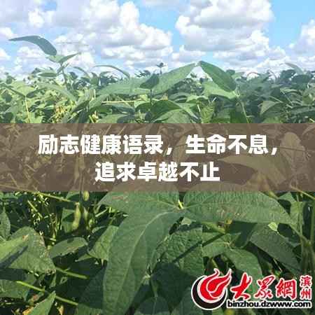 励志健康语录,生命不息,追求卓越不止