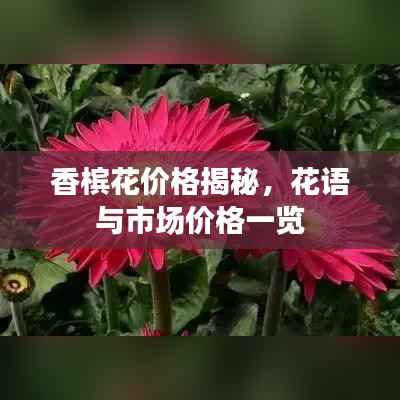 灰飞烟灭 第2页