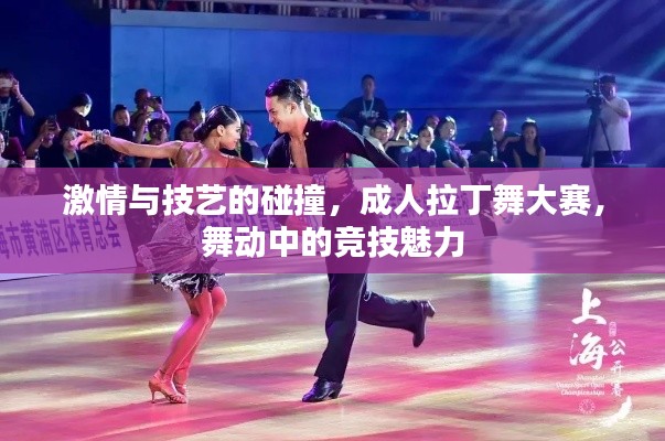 激情与技艺的碰撞,成人拉丁舞大赛,舞动中的竞技魅力