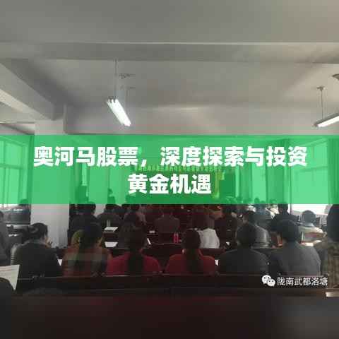 奥河马股票，深度探索与投资黄金机遇