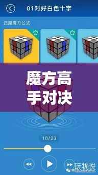 鸟声兽心 第2页