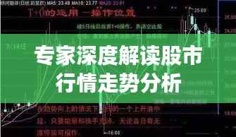 专家深度解读股市行情走势分析