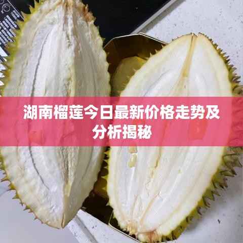 湖南榴莲今日最新价格走势及分析揭秘
