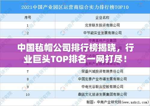 中国毡帽公司排行榜揭晓,行业巨头TOP排名一网打尽!