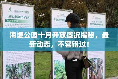 海埂公园十月开放盛况揭秘,最新动态,不容错过!