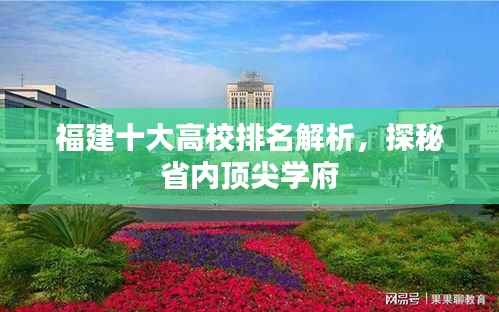 福建十大高校排名解析,探秘省内顶尖学府