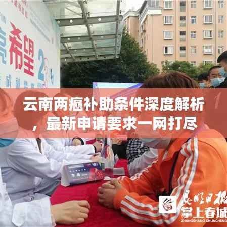 云南两癌补助条件深度解析，最新申请要求一网打尽