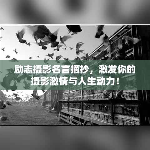 励志摄影名言摘抄,激发你的摄影激情与人生动力!