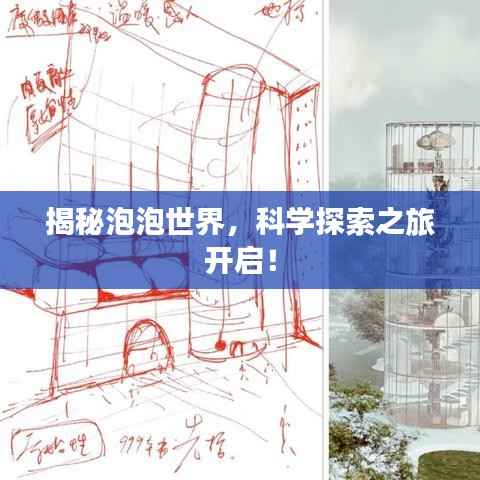 揭秘泡泡世界，科学探索之旅开启！