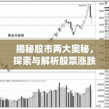 揭秘股市两大奥秘，探索与解析股票涨跌背后的秘密