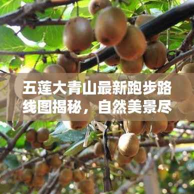 五莲大青山最新跑步路线图揭秘,自然美景尽收眼底!